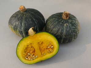 小南瓜(阿石)